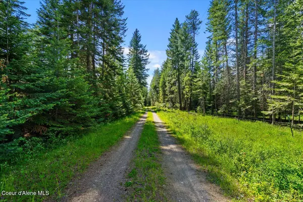 Athol, ID 83801,28801 N LEWELLEN CREEK RD