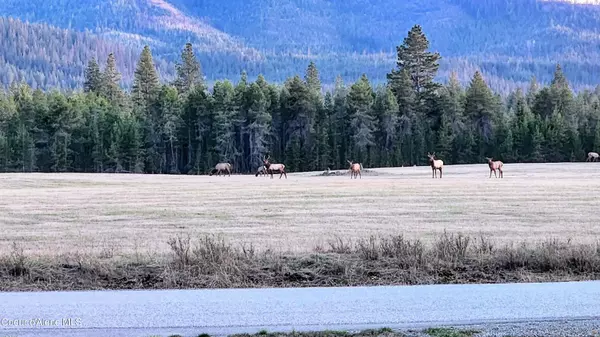 Athol, ID 83801,9537 E PARKS RD