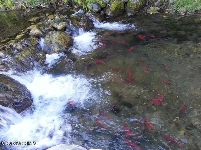 Bayview, ID 83803,Unit 2 BLK 9 Lot 4