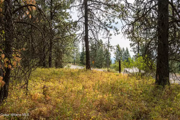 Rathdrum, ID 83858,NKA N Crystal Springs Ln