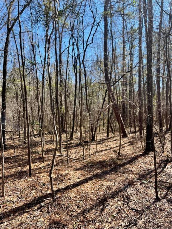 Salem, AL 36874,5001 LEE ROAD 175