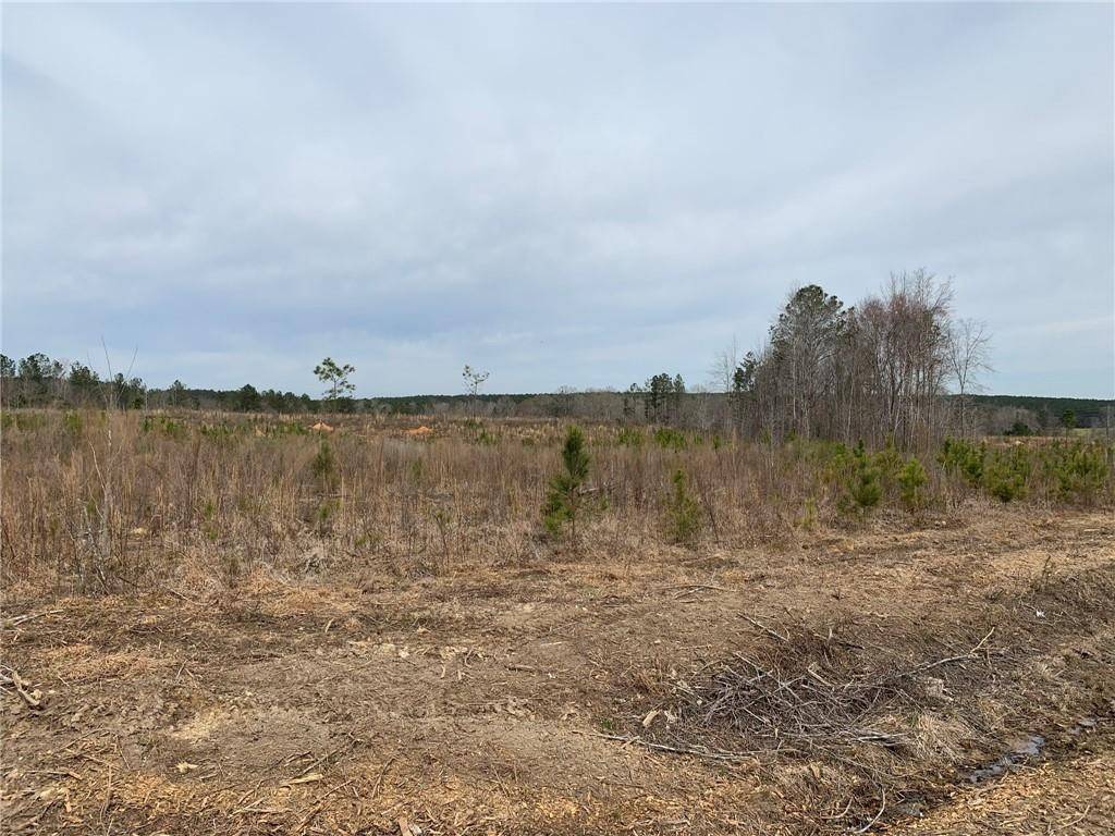 Salem, AL 36874,2849 LEE ROAD 334