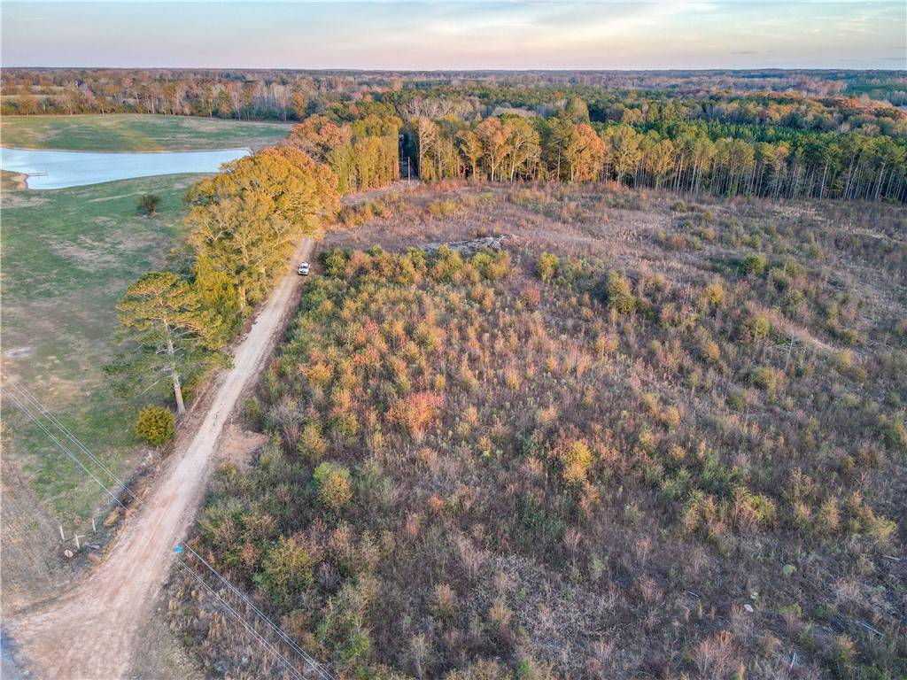 Lafayette, AL 36862,0 COUNTY ROAD 53