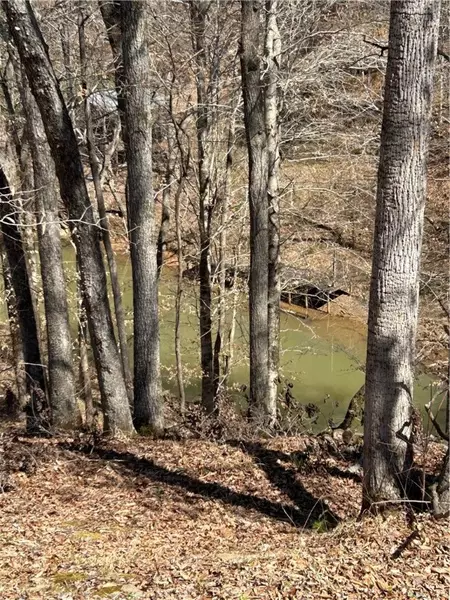 28 TRAILS END LN, Alexander City, AL 35010