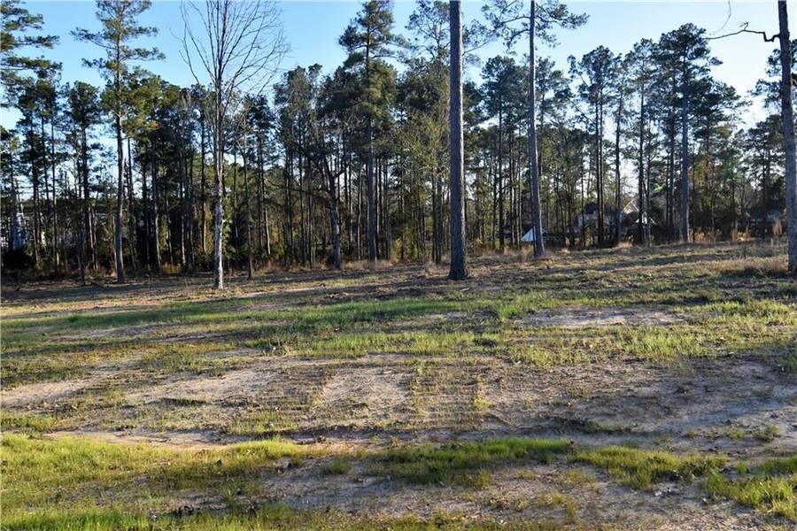 0 Sophie LN #Lot 41, Dry Prong, LA 71423