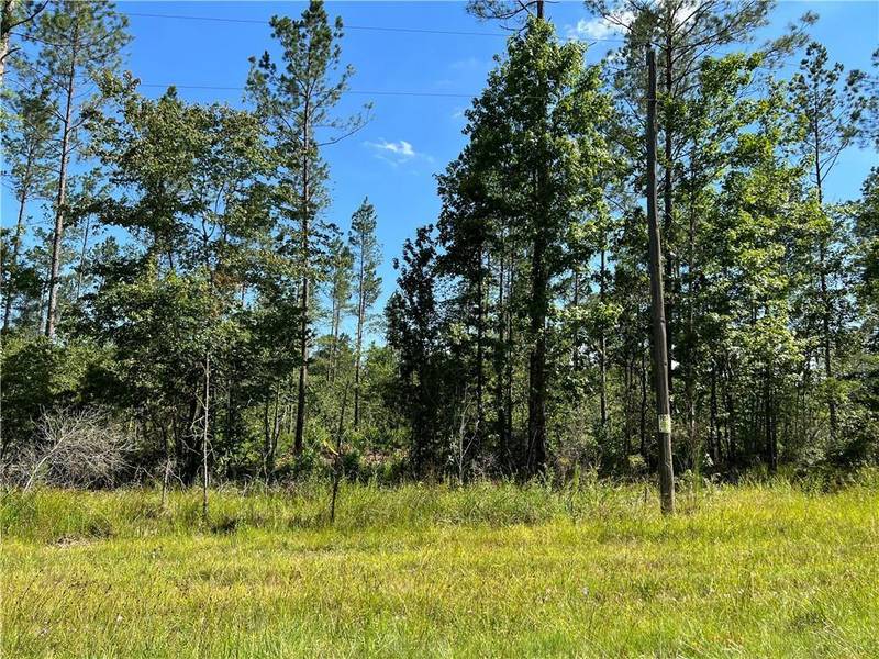 0 Walker Ferry RD #Lot 8, Pollock, LA 71467