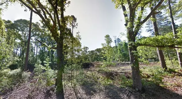 Boyce, LA 71409,TBD Hwy 121