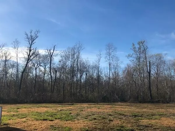 BALD EAGLE DR, Belle Chasse, LA 70037