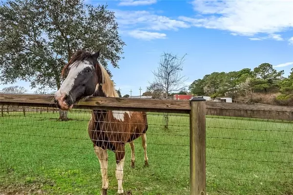 Folsom, LA 70437,101 PAISSAIS ST