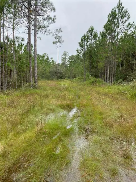 Lacombe, LA 70445,LOUAND DR