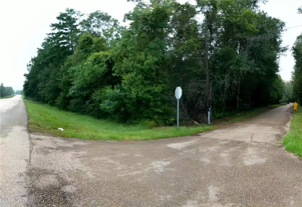 Bush, LA 70431,Lot E-1 HWY 41