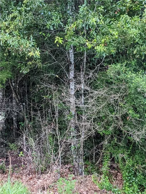 Bush, LA 70431,Lot E-2 HWY 41