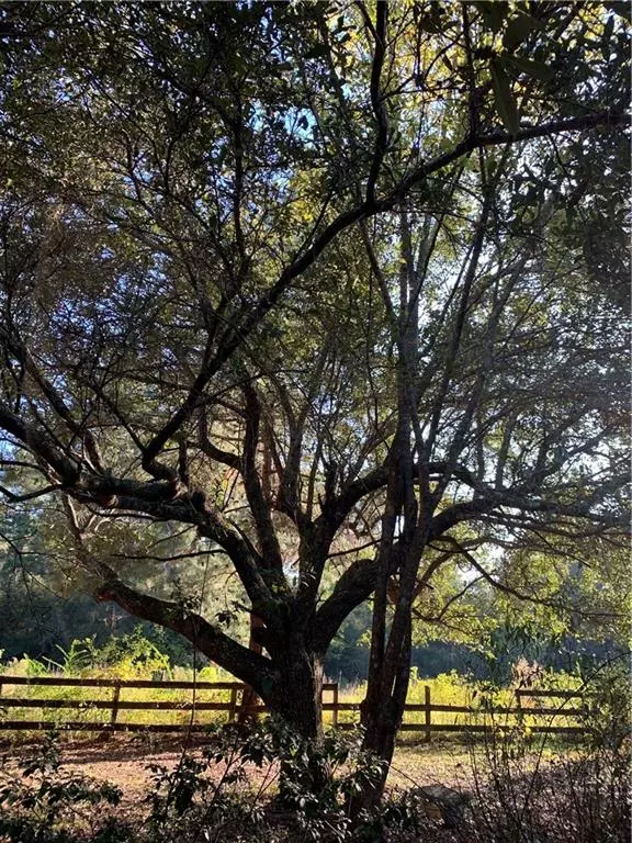 Folsom, LA 70437,510 DEERFIELD RD