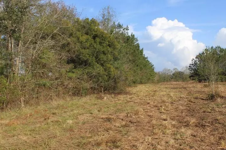 TBD CURTIS WILLIE RD, Folsom, LA 70437