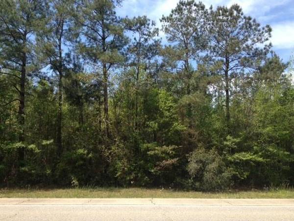 0 HWY 41 HWY, Pearl River, LA 70452