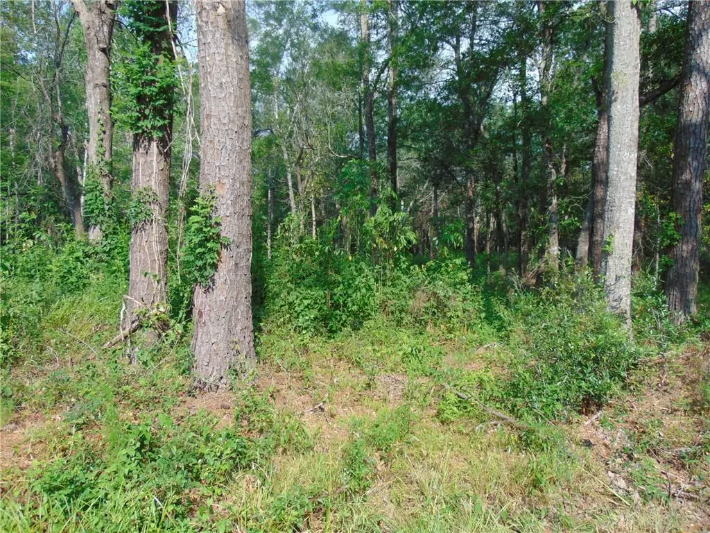 Abita Springs, LA 70420,Lot 3A SAINT CHARLES ST