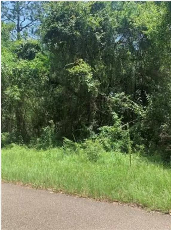 Abita Springs, LA 70420,Lot 19 FAIRWAY DR