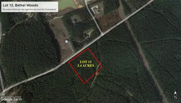 LOT 12 BETHEL LN, Franklinton, LA 70438