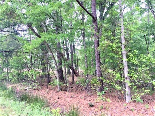 Lot 23 PERRILOUX RD, Madisonville, LA 70447