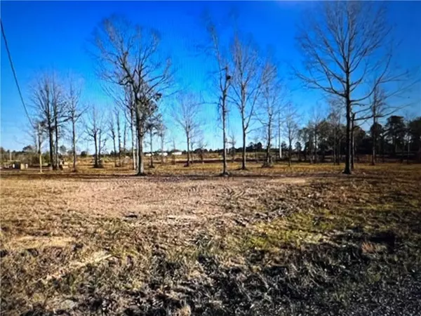 411 SOPHIE LN, Dry Prong, LA 71423