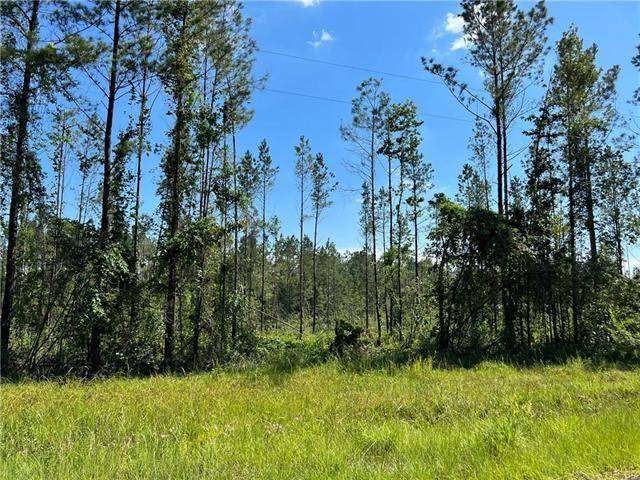 Lot 5 WALKER FERRY RD, Pollock, LA 71467
