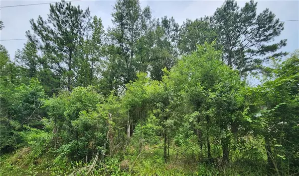 Tickfaw, LA 70466,tbd DURBIN RD