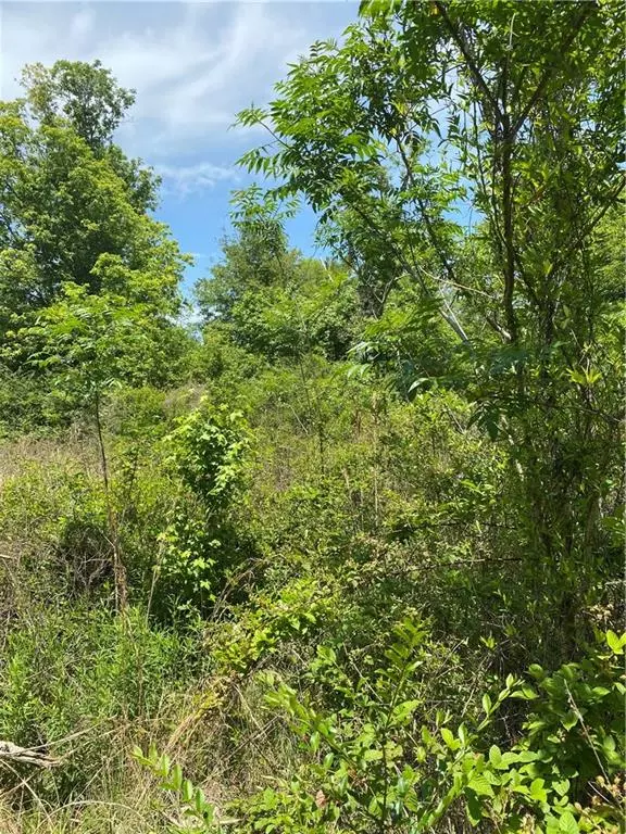 Franklinton, LA 70438,Tbd WEST ST