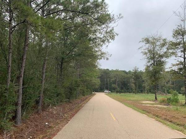 C-2 HIGHWAY 445 HWY, Robert, LA 70455