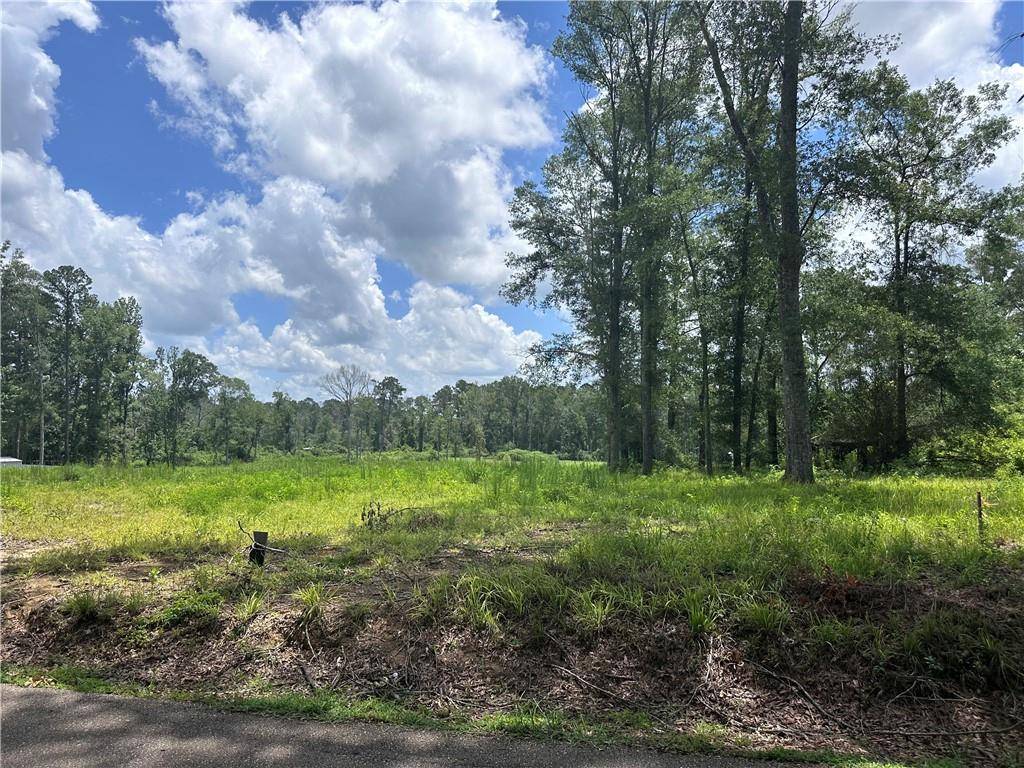 Roseland, LA 70456,63194 HILL ST TRACT 3 ST