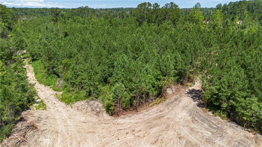 Lot 2 TEN MILE RD, Pitkin, LA 70656