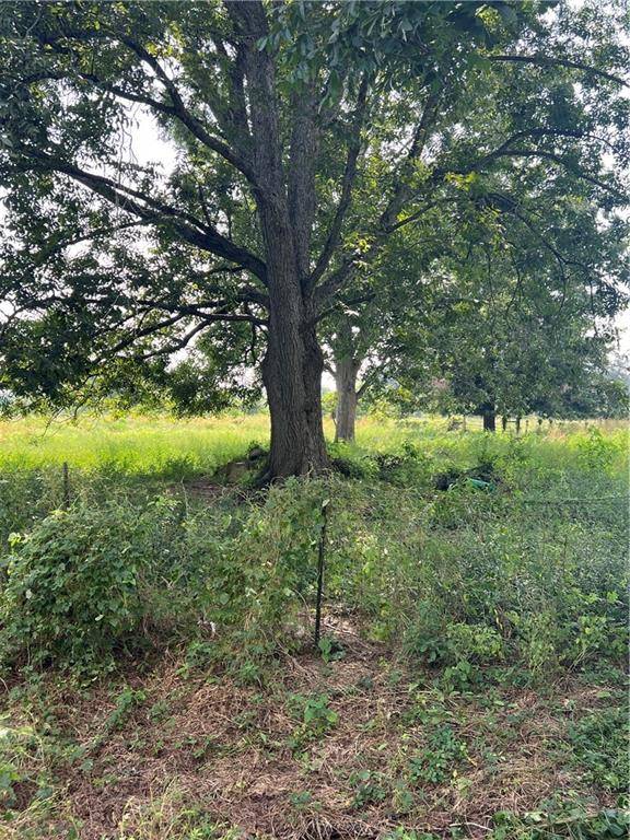 1835 HIGHWAY 495, Cloutierville, LA 71416