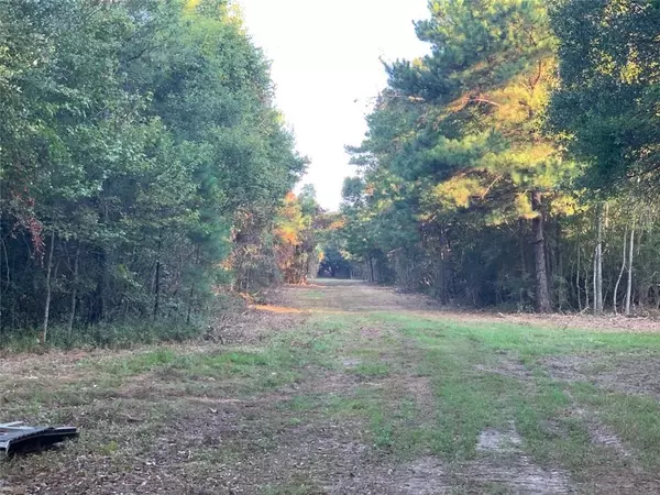 Abita Springs, LA 70420,HWY 435 ( TRACT D) HWY