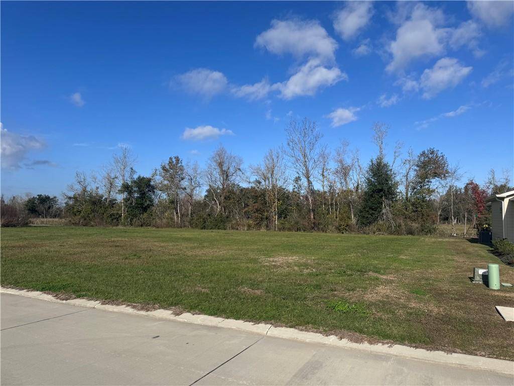 Hahnville, LA 70057,238 RIVER PLACE DR