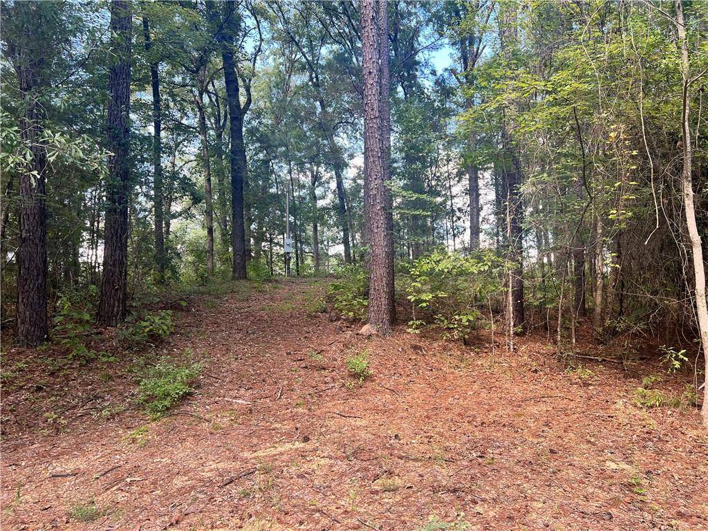 131 BUD ATES RD, Pollock, LA 71467