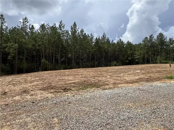 Franklinton, LA 70438,Lot 5 HWY 25 HWY