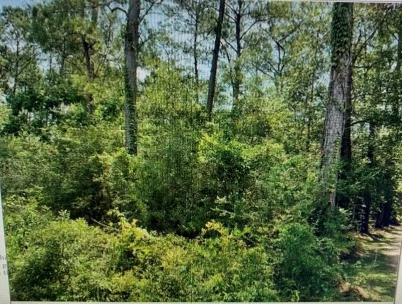 Lacombe, LA 70445,Lots 1 &2 HWY 190