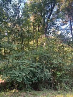 Montgomery, LA 71454,TBD GILCREASE RD
