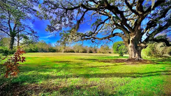 Mandeville, LA 70448,204 MAGNOLIA ST
