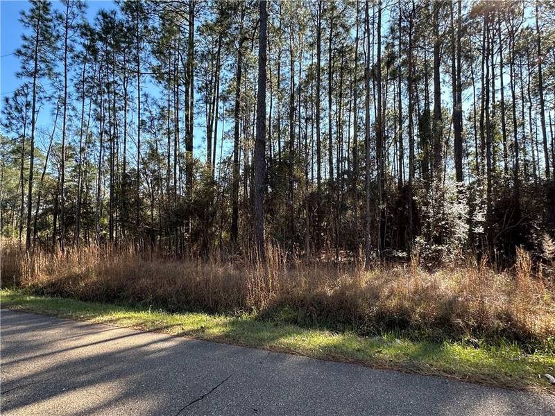 Lot 58 QUIMET DR, Abita Springs, LA 70420