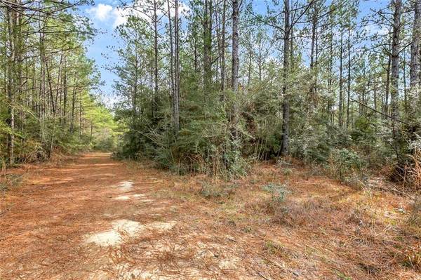 Lot 30 ERIN LN, Franklinton, LA 70438