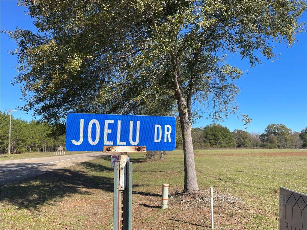 Lot 2 JOELU DR, Franklinton, LA 70438