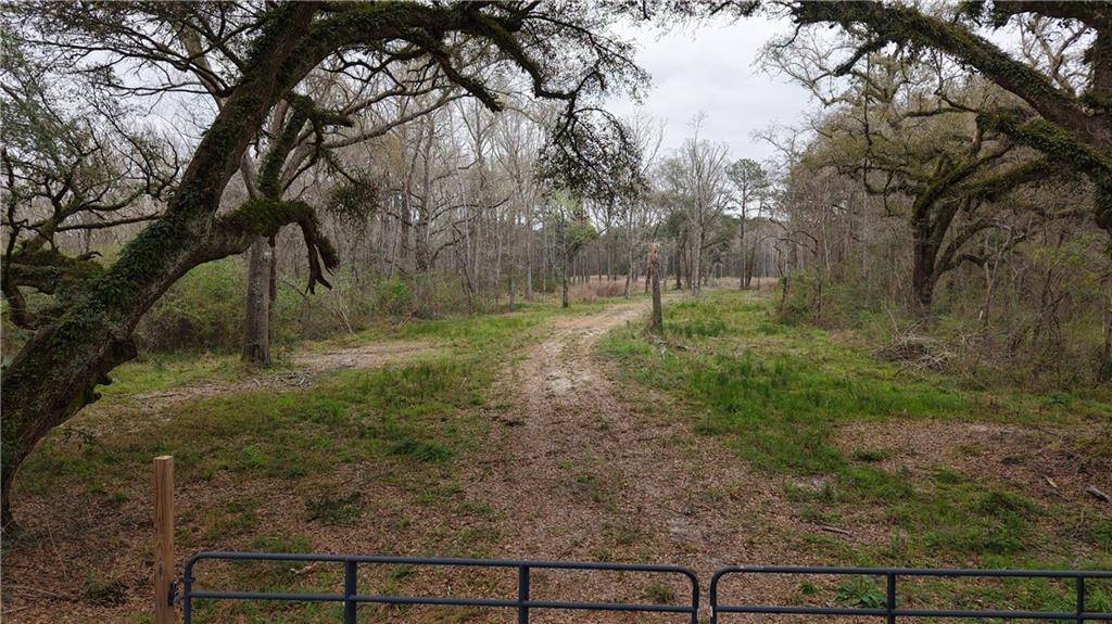 42632 N THIBODEAUX RD, Ponchatoula, LA 70454