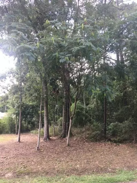 Covington, LA 70435,9A BETA AVE