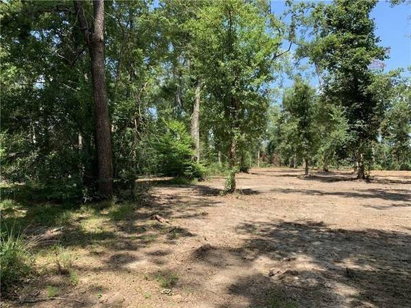 6.5 Acres Vacant Land EVERETT LN, Ponchatoula, LA 70454