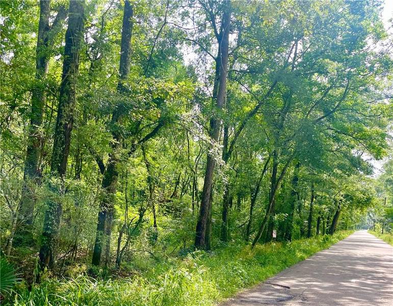 TBD 2 LAVIGNE RD, Ponchatoula, LA 70454