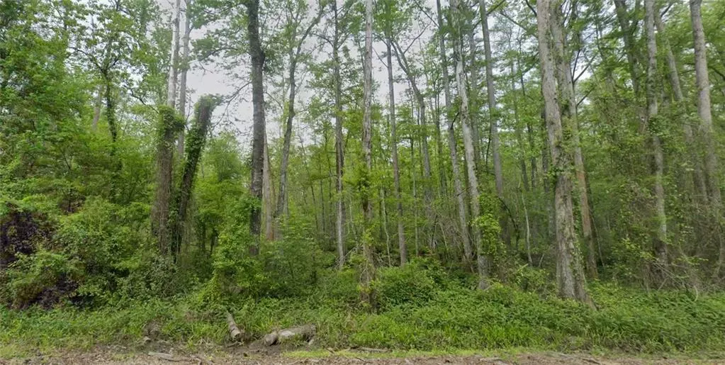 Ponchatoula, LA 70454,TRAINO RD