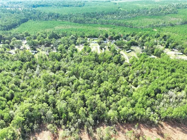 Independence, LA 70443,LONGLEAF DR