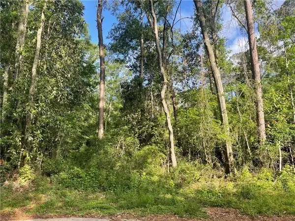 Hammond, LA 70401,Lot 5 & 6 BEECHWOOD DR