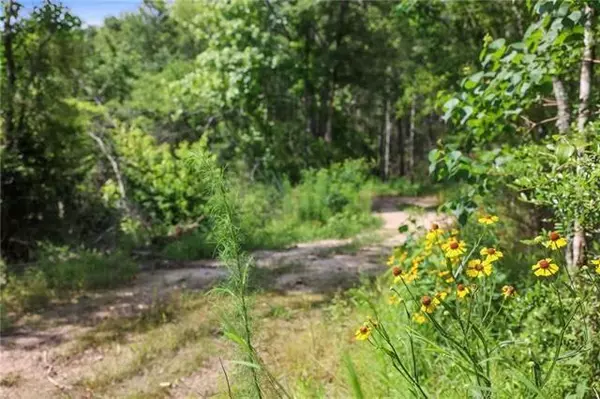 Amite, LA 70422,OGDEN LN