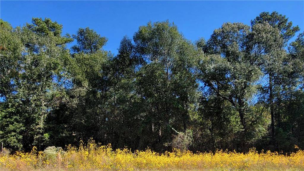0 TBD, Pineville, LA 71360